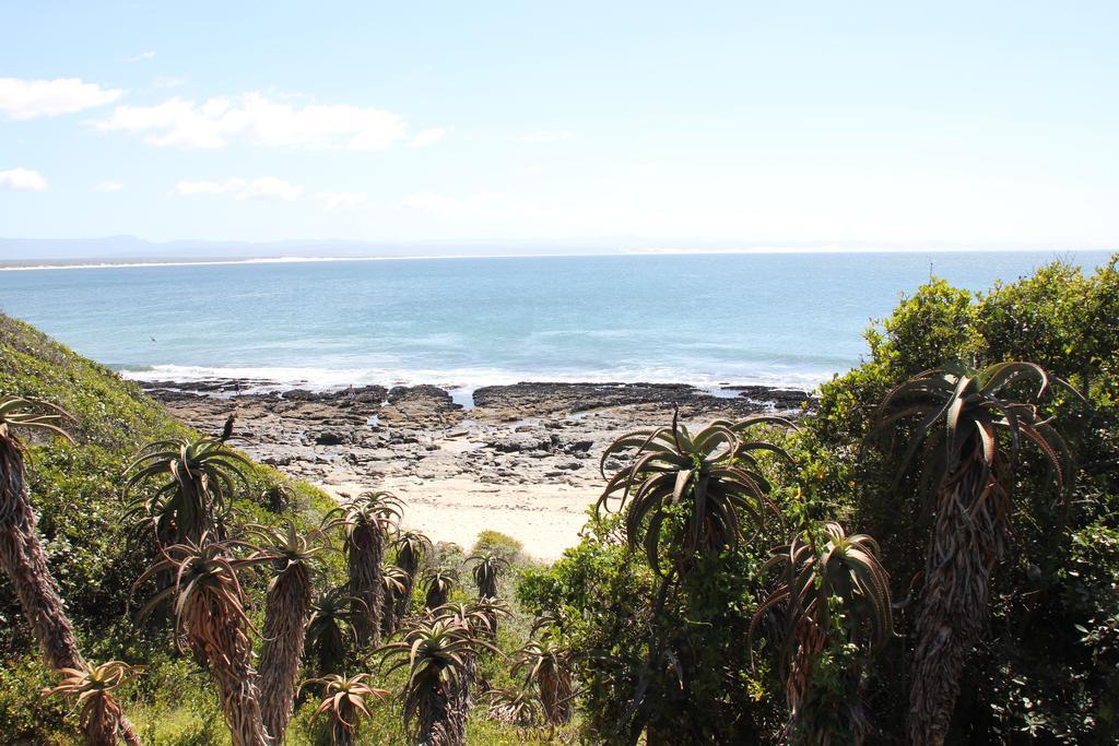 Willa Shack On Supers Jeffreys Bay Zewnętrze zdjęcie